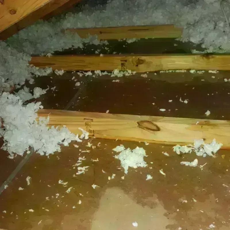 Attic Water Damage in Meigs, GA